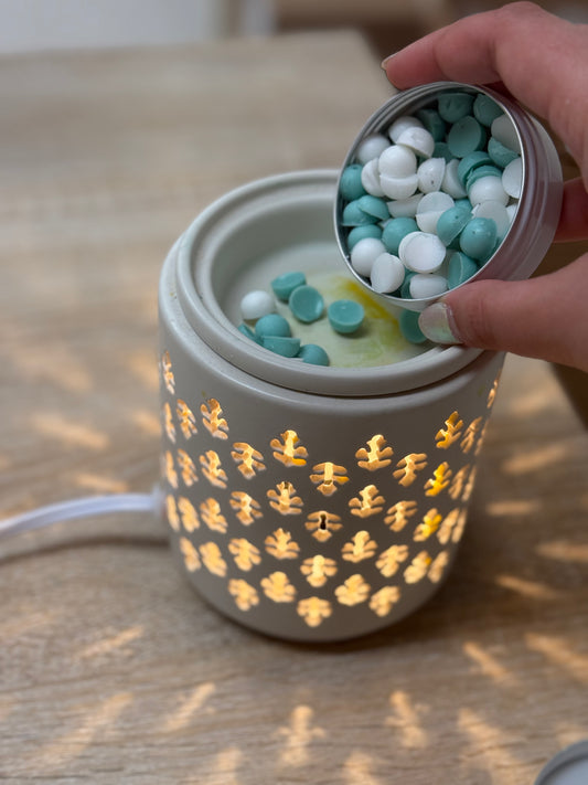 Wax Scoopies – Mess-Free, Plastic-Free, and Powerfully Fragrant