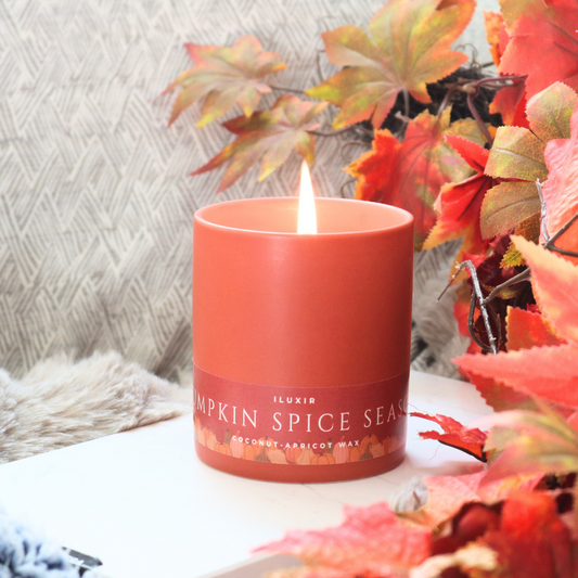 Pumpkin Spiced Latte - Pumpkin, Clove, Nutmeg, Cinnamon, Vanilla