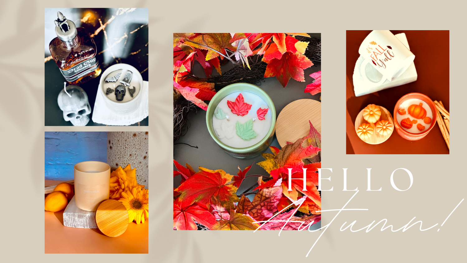 Fall Collection