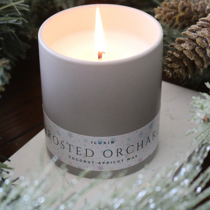 Frosted Orchard - Grapefruit, Citrus and Pear